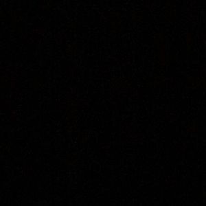 Meet your Posher, Mikey